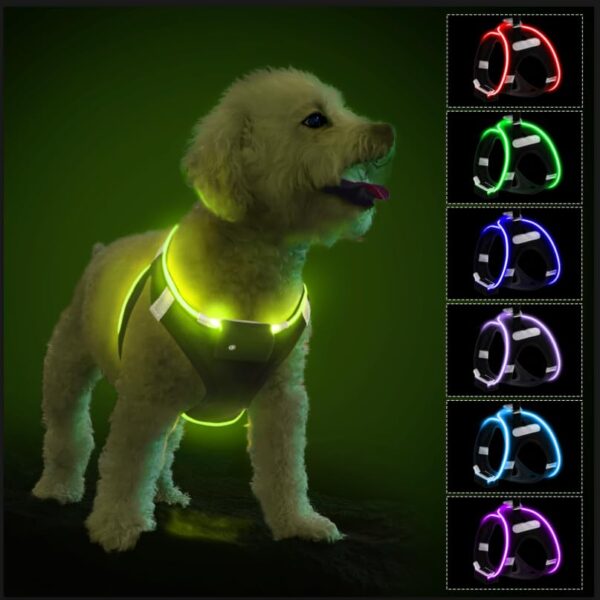 PcEoTllar LED-Hundegeschirr XS aufladbar – 9 Modi, reflektierend für kleine Hunde