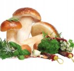 MPM MSG-03 Dörrautomat mit 4 Tabletts 28 cm – 250W Dehydrator für Obst, Gemüse & Fleisch – Bild 6