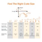 Amazon Basics Hundekäfig 122 cm mit Doppeltür – Zusammenklappbar & sicher für grosse Hunde – Bild 3