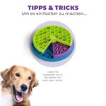 Outward Hound Nina Ottosson Lickin' Layers Puzzle – Intelligenzspielzeug Stufe 2 für Hunde – Bild 4