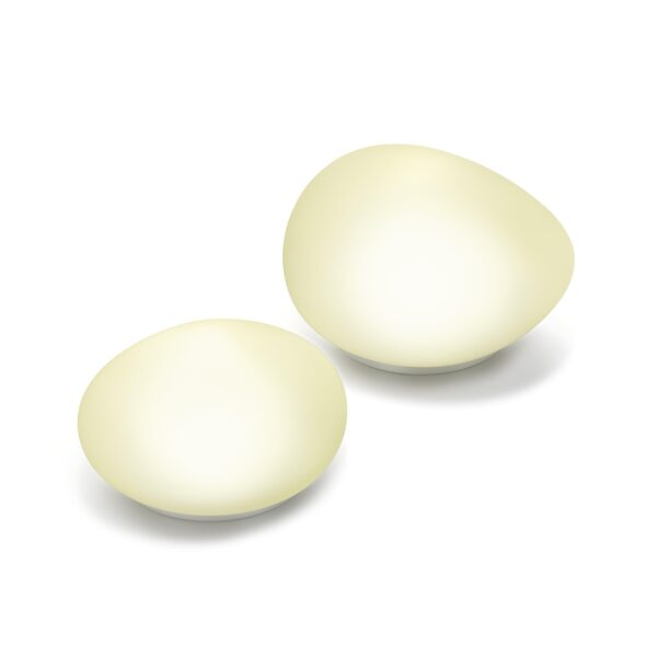 Solar Glas Dekoleuchten 2er Set neutralweiss 4100K – Esotec Gartenbeleuchtung