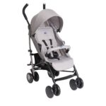 Chicco Echo Lite Kinderwagen – Buggy ab Geburt bis 22 kg mit verstellbarer Rückenlehne