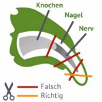 Kaninchenwiese Krallenschere mit LED-Licht – Edelstahl Nagelschere für Kaninchen & Meerschweinchen – Bild 5