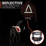 Non-stop dogwear CaniX Belt Grösse M – Hands-Free Hüftgurt für Canicross & Hundetraining – Bild 8