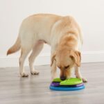 Outward Hound Nina Ottosson Lickin' Layers Puzzle – Intelligenzspielzeug Stufe 2 für Hunde – Bild 6