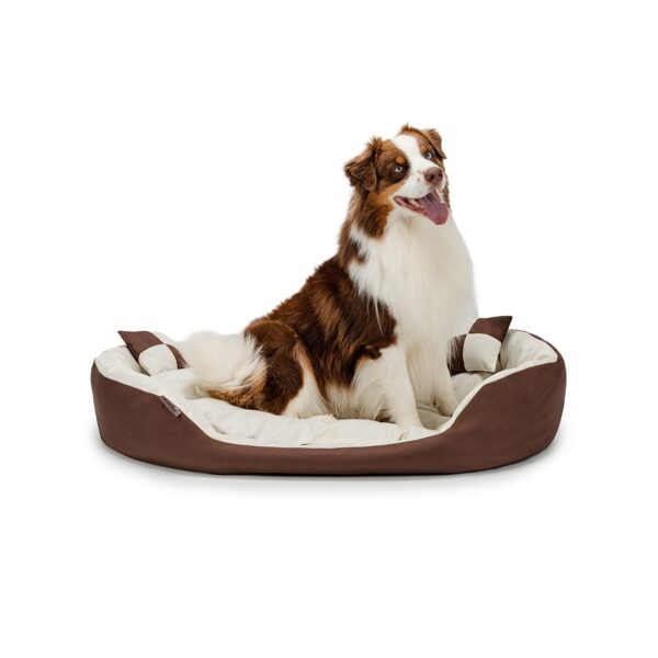 lionto Hundebett 110 x 80 cm mit Wendekissen – 4-in-1 Haustierbett aus Oxford-Stoff