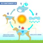 Kurgo Hundekühlweste L – Verdunstungskühlung für aktive Hunde im Sommer – Bild 7
