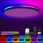 Matane Smart Deckenlampe 30cm RGB LED 24W – Dimmbar mit Alexa & Google Assistant