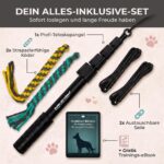 HUND IST KÖNIG® Hunde-Reizangel mit 2 Seilen & eBook – Robuste Teleskopstange für alle Grössen – Bild 4