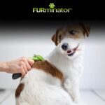 FURminator deShedding-Tool Grösse S Kurzhaar – Unterfellbürste für kleine Hunde – Bild 6