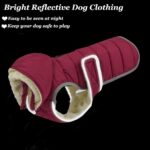Etechydra Winter Hundejacke mit abnehmbarem Hut – Wasserdicht & warm für alle Hunderassen – Bild 5
