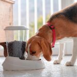 Ferplast Zenith 3L Automatischer Futterspender – Trockenfutter Dispenser für Hunde & Katzen – Bild 2
