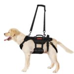 OneTigris Invictus Hundegeschirr L – Mobilitätshilfe mit 3 Griffen für ältere & verletzte Hunde