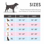 PHOEPET Hundegeschirr Grösse M – Reflektierend, ohne Kopfdurchgang, mit Trainingsgriff – Bild 6
