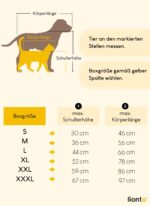 lionto Hundetransportbox 50x34x36 cm – Faltbar mit Liegekissen für Hunde & Katzen bis 10 kg – Bild 7