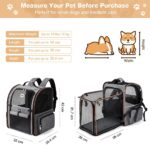 Lekespring Erweiterbare Haustier-Transportrucksack – 4 Mesh-Fenster & Sicherheitsleine für Katzen & Hunde bis 8 kg – Bild 2