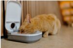 Cat Mate C100 Automatischer Futterautomat mit 24h-Timer – für Katzen & kleine Hunde – Bild 6