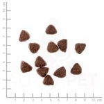WILDES LAND Wild Trockenfutter 12kg – Pferdefleisch Hundefutter ohne Getreide & Zusatzstoffe – Bild 4