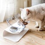 Speedy Panther Erhöhter Doppel-Katzennapf mit 15° Neigung – Anti-Erbrechen Futternapf für Katzen – Bild 9