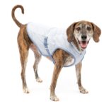 Kurgo Hundekühlweste L – Verdunstungskühlung für aktive Hunde im Sommer – Bild 5