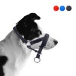 ILEPARK Hundehalfter L Schwarz – Gepolstert, verstellbar & zugfrei für sicheres Spazierengehen – Bild 2