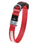 MASBRILL LED Leuchthalsband Hund Grösse S – USB-aufladbar mit 3 Lichtmodi