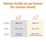 Amazon Basics Hundehütte zweitürig 58L x 38W x 33H cm – Transportbox mit Belüftung – Bild 3