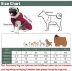 Etechydra Winter Hundejacke mit abnehmbarem Hut – Wasserdicht & warm für alle Hunderassen – Bild 2