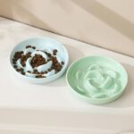 PTOBER Antischlingnapf Katze Set – 2er Keramik Fressnäpfe in Blau & Grün – Bild 6