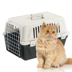 Ferplast Atlas 10 EL Transportbox – Sichere Reisebox für Katzen und kleine Hunde bis 5 kg – Bild 7