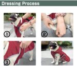 Etechydra Winter Hundejacke mit abnehmbarem Hut – Wasserdicht & warm für alle Hunderassen – Bild 6
