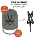 hauck Alpha Move Hochstuhl Newborn Set – 5in1 Mitwachsender Holzhochstuhl ab Geburt bis 90 kg – Bild 5