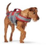 HUNTER Moss Hundeschwimmweste Grösse S – Sicherheit & Auftrieb für kleine Hunde – Bild 2