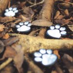 hellum Solar Pfoten 4 LED warmweiss – Gartenleuchte & Grablicht für Haustiere – Bild 7