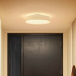 Philips Hue Enrave LED-Deckenleuchte – Smarte Beleuchtung mit 50.000 Weisstoenen – Bild 7