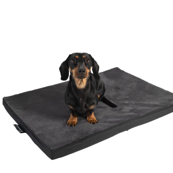 MyBestBuddy Hundekissen 70x50 cm mit 3 cm Vollschaum – orthopädisches Hundebett Größe M
