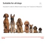 Interaktives Hundehalsband mit 3 Modi – Wasserdicht & bis 800m Reichweite für alle Grössen – Bild 4
