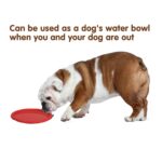 Vivifying Hundefrisbee 2er-Set, 18 cm Naturkautschuk – Schwimmfähiges Wurfspielzeug – Bild 4