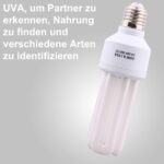 DERNORD UVB UVA Vogellampe E27 20W – Vollspektrum Wärmebirne für Papageien – Bild 4
