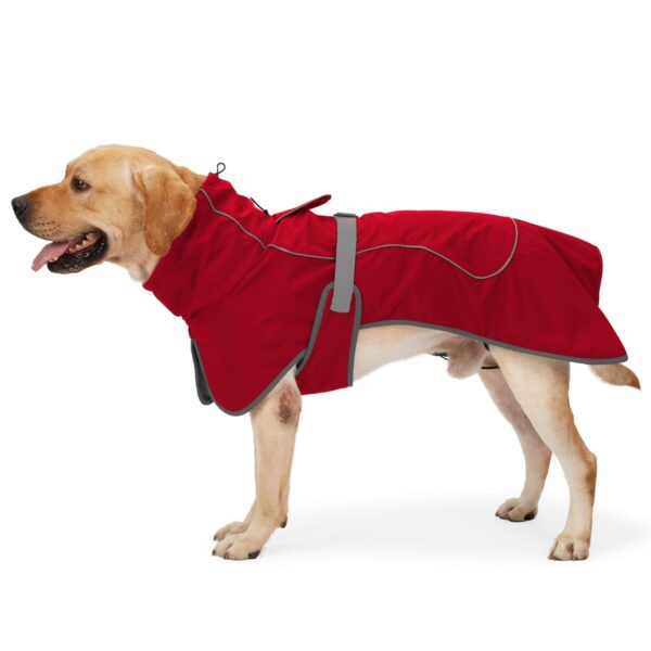 HEYWEAN Hundejacke wasserdicht mit Fleecefutter – Wärmeschutz für kleine & mittlere Hunde