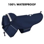 BiPawTi Hunderegenmantel Grösse L – Wasserdicht mit reflektierender Kapuze für grosse Hunde – Bild 3