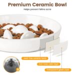 PETTOM Erhöhter Antischlingnapf Katze Keramik – Slow Feeder mit Bambusgestell – Bild 6