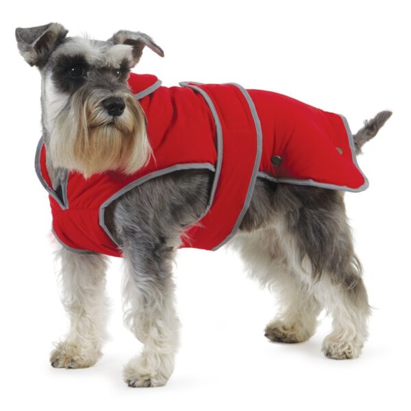 Ancol Stormguard Hundemantel Grösse L – Wasserdichter Allwetter-Schutz für mittlere Hunderassen