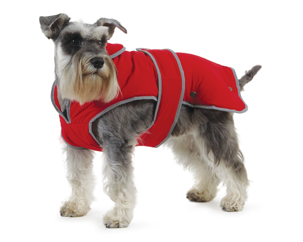 Ancol Stormguard Hundemantel Grösse L – Wasserdichter Allwetter-Schutz für mittlere Hunderassen