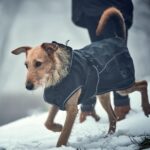 HUNTER Uppsala Softshell Hundemantel Größe 40 – Winddicht & wasserabweisend für aktive Hunde – Bild 8