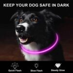 Novkin 2er-Pack LED-Hundehalsbänder – Wiederaufladbar & Sicherheit für alle Hundegrösszen – Bild 2
