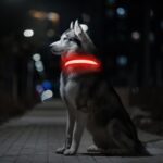 MASBRILL LED Leuchthalsband Hund Grösse S – USB-aufladbar mit 3 Lichtmodi – Bild 7