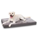 KSIIA Orthopädisches Hundebett XL 104x68cm – Waschbarer Schaum für grosse Hunde