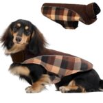 CITÉTOILE Wintermantel für Hunde Grösse M – Wendbar mit Bauchschutz & Reflektoren