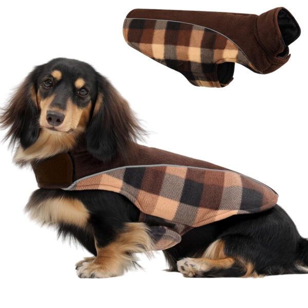 CITÉTOILE Wintermantel für Hunde Grösse M – Wendbar mit Bauchschutz & Reflektoren